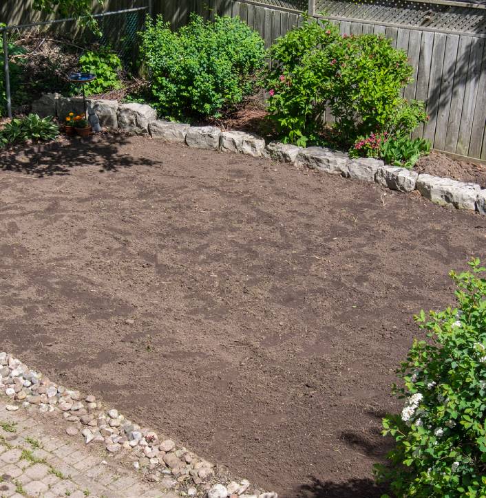 Bare garden plot with surrounding green shrubs.