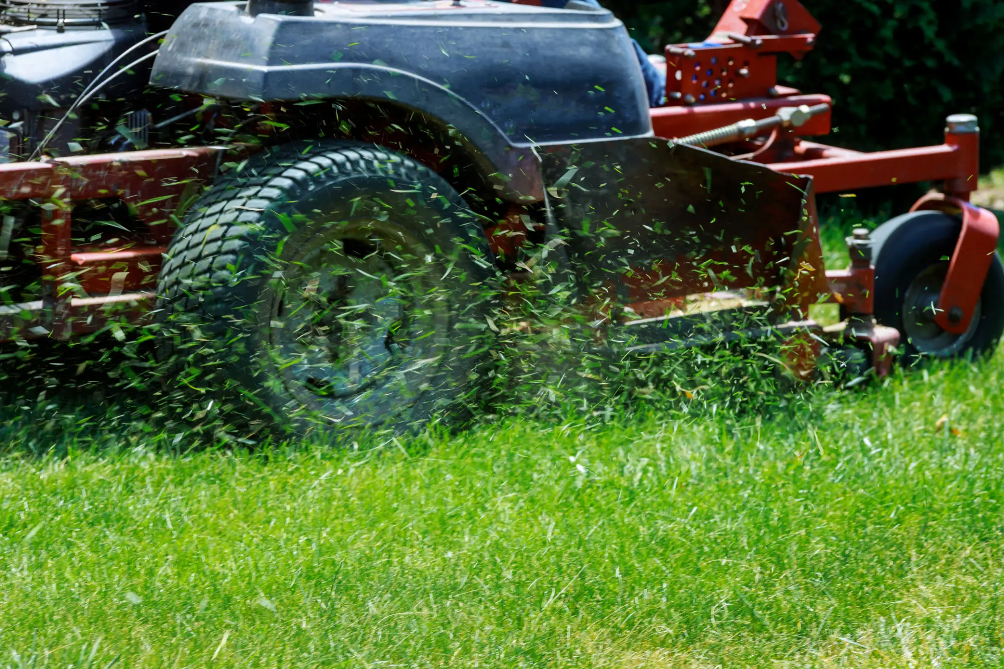 Lawn mower cutting grass, clippings flying.