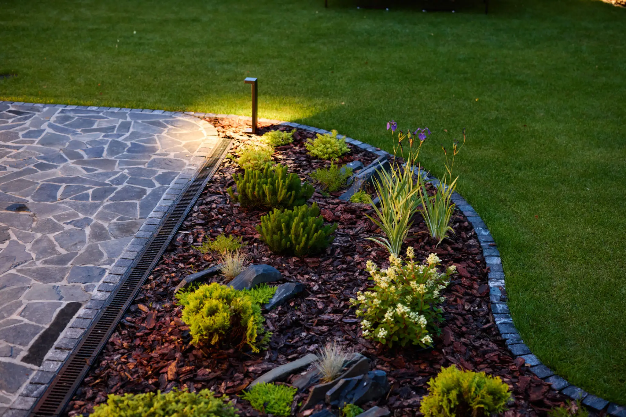Garden path with plants and evening lighting.